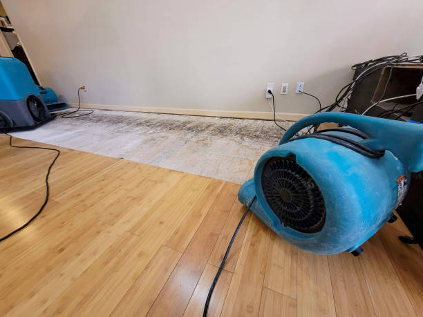 Professional Flood Damage Cleanup technician working in Julian, CA